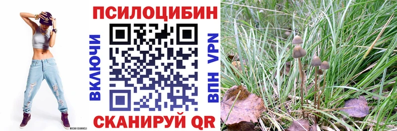 shop клад  где можно купить   Радужный  Псилоцибиновые грибы Psilocybine cubensis 
