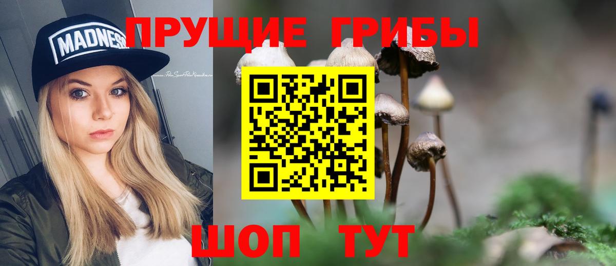 Радужный  Псилоцибиновые грибы MAGIC MUSHROOMS  Вход с VPN 